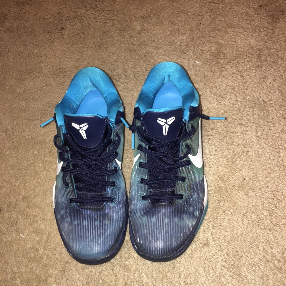 Kobe sharks
